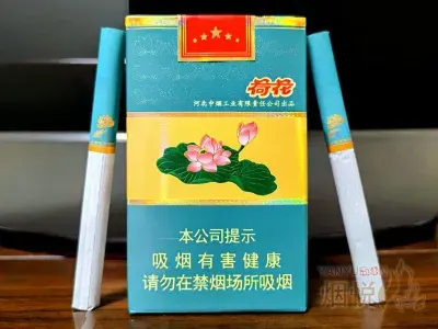 软荷花（粗支）真实测评：曾经一烟难求，如今口感还值得买吗？